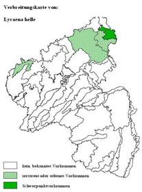 Verbreitung in Rheinland-Pfalz